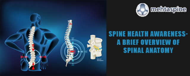 Spine and Scoliosis Specialist in Uk | Mehta Spine